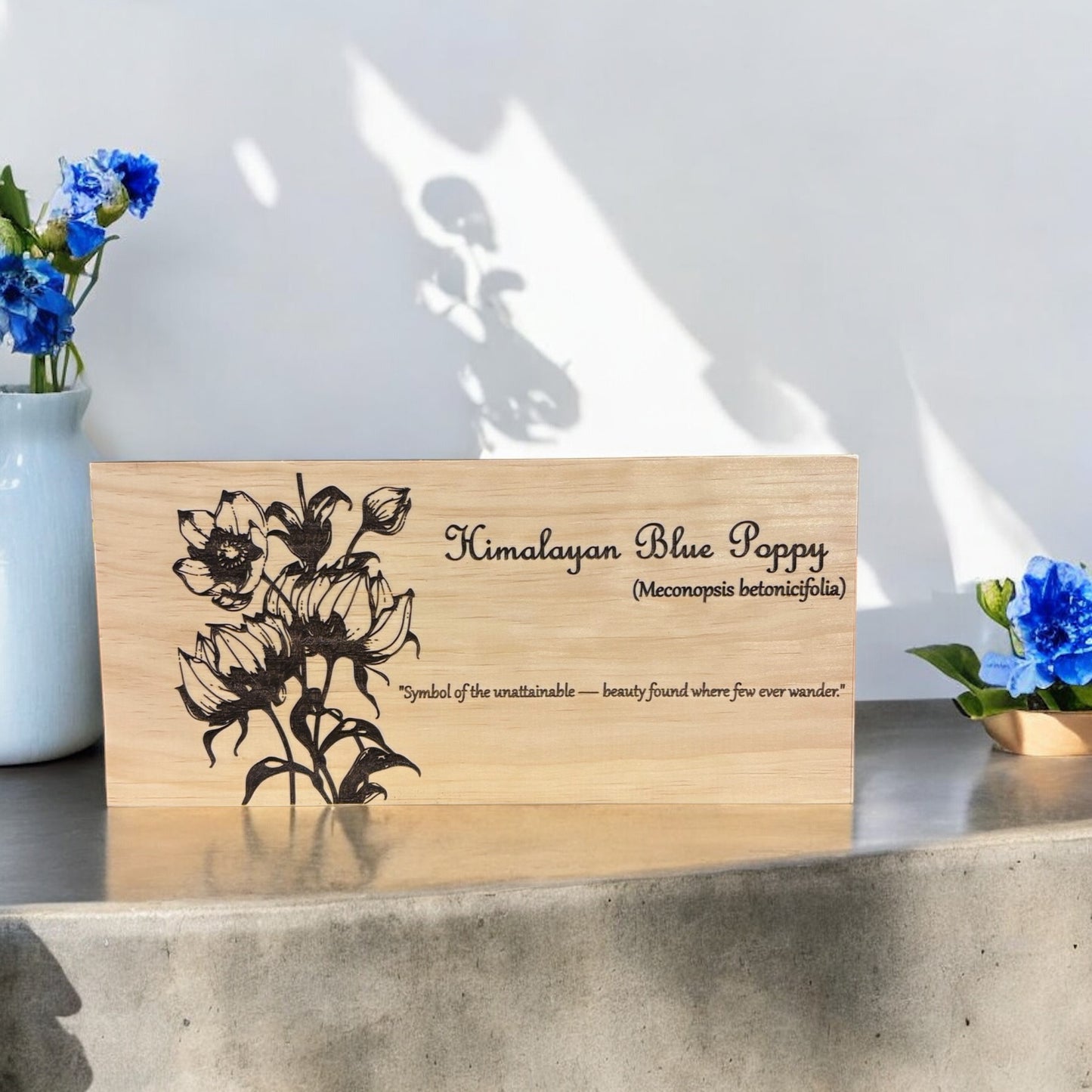 Himalayan Blue Poppy