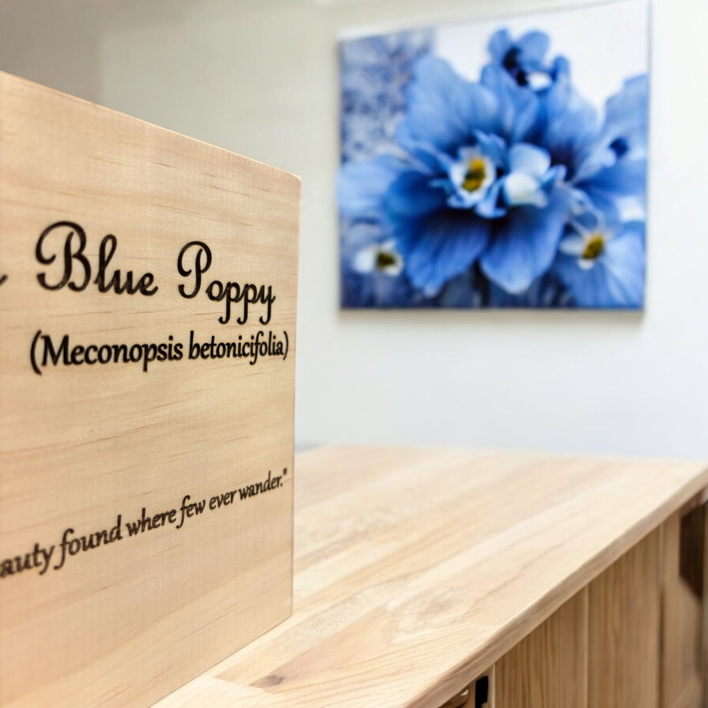 Himalayan Blue Poppy