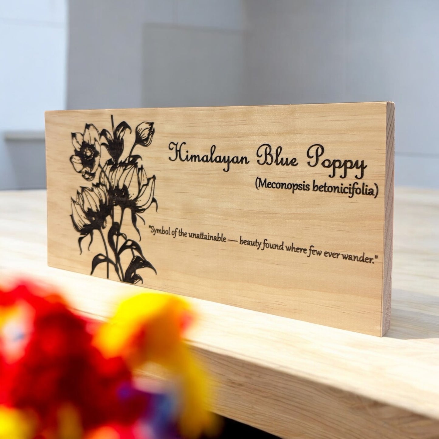 Himalayan Blue Poppy