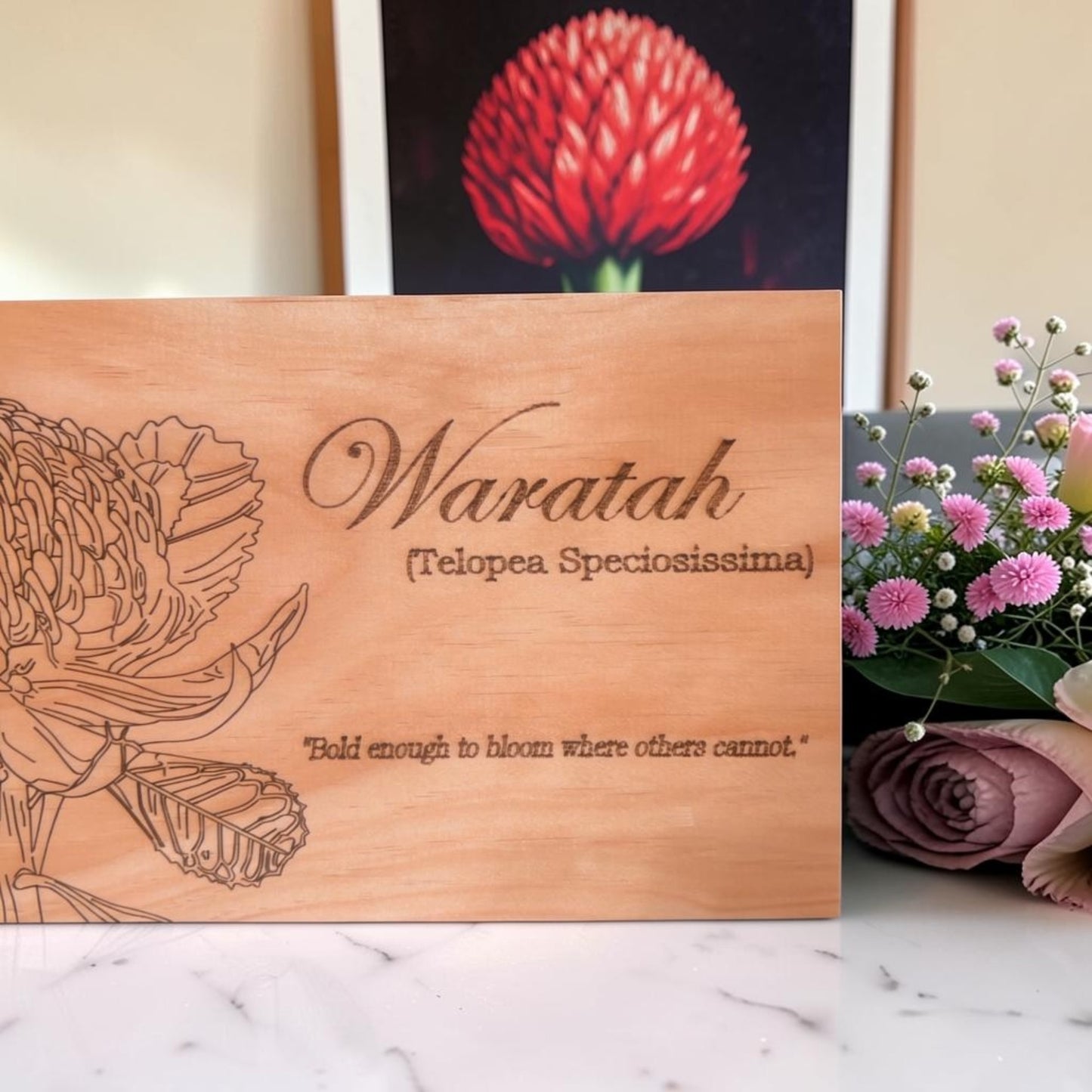 Waratah Flower