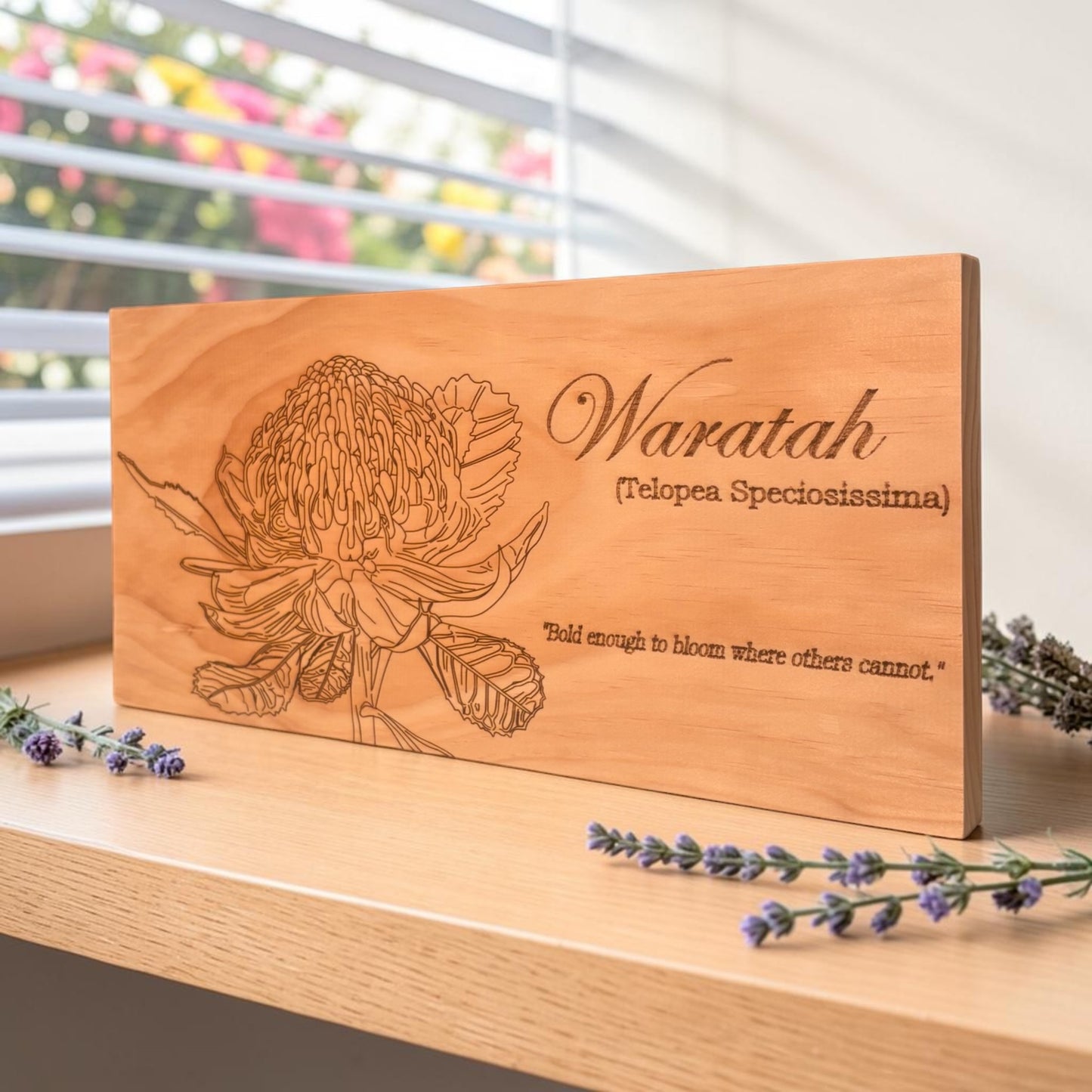 Waratah Flower