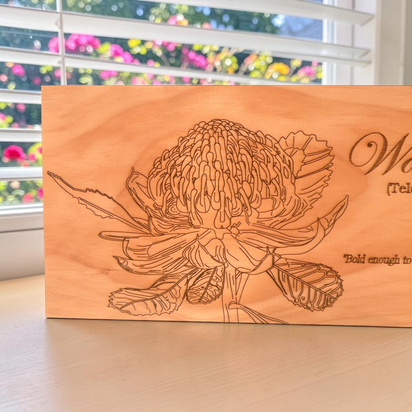 Waratah Flower